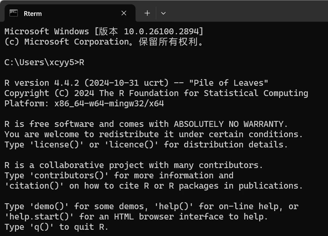 命令提示符验证 命令提示符验证