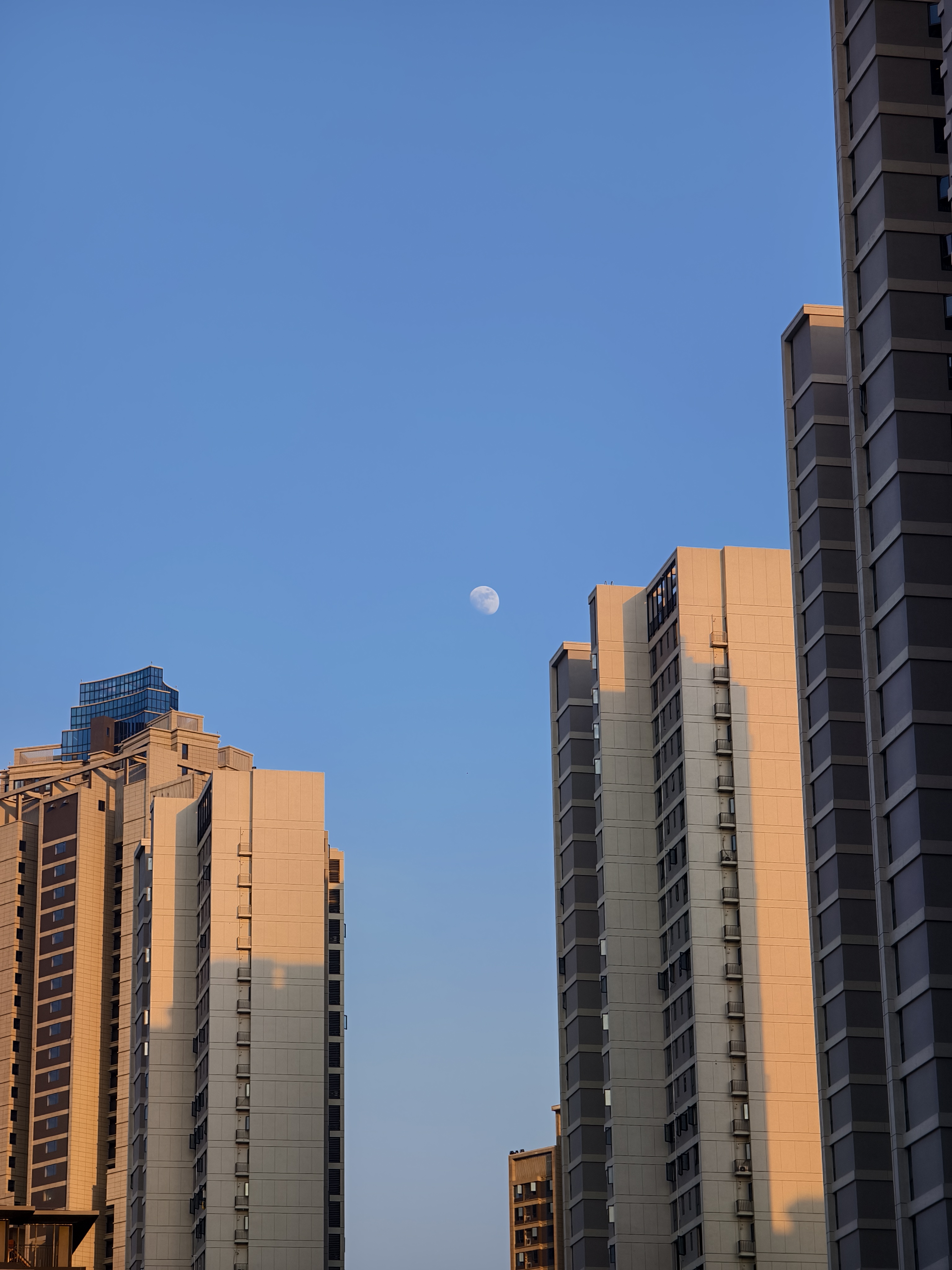 近照 7